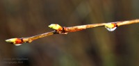 /album/natuur-aruba/img-7264-jpg/