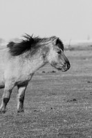/album/natuur-aruba/img-7451-jpg/