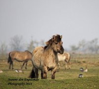 /album/natuur-aruba/img-7375-jpg/