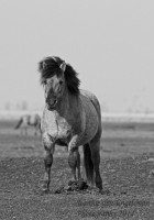/album/natuur-aruba/img-7385-jpg/