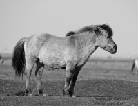 /album/natuur-aruba/img-7392-jpg/