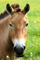 /album/natuur-aruba/img-8657-jpg/