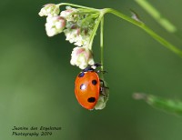 /album/natuur-aruba/img-8517-jpg/