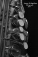 /album/detail-en-macro/img-7182-jpg/