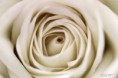 /album/detail-en-macro/img-8608-jpg/